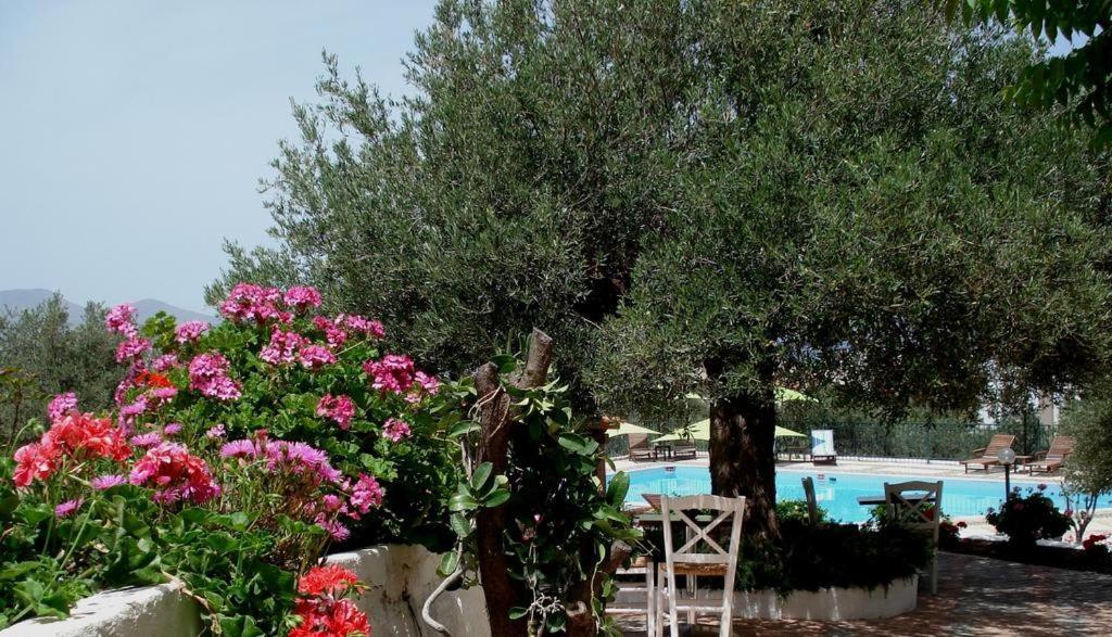 Katerina Charming Place Αμουδάρα Λασιθίου Εξωτερικό φωτογραφία