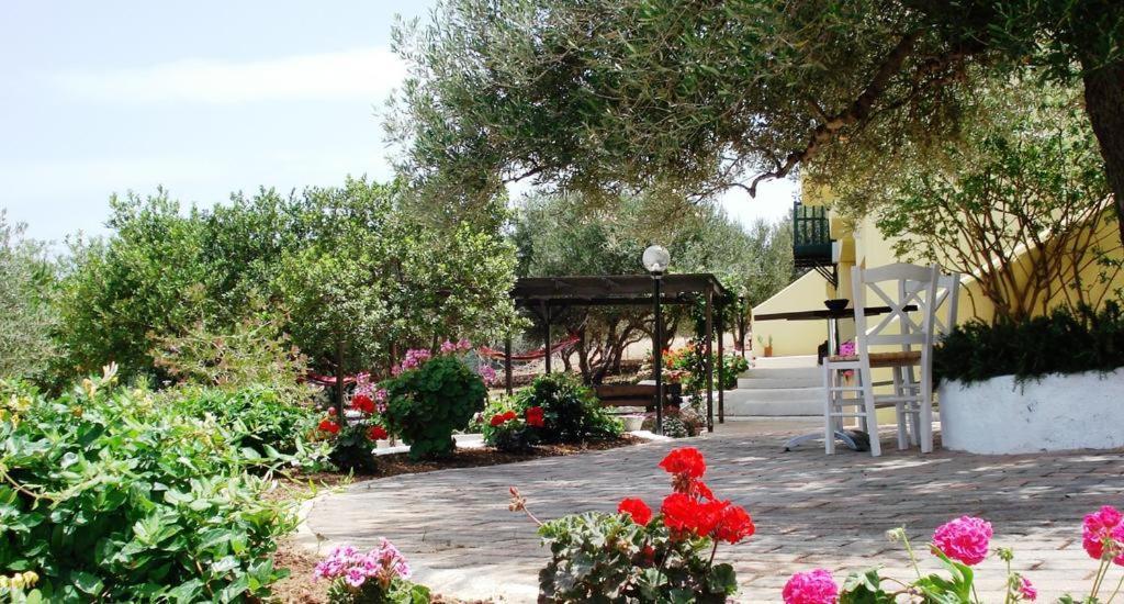 Katerina Charming Place Αμουδάρα Λασιθίου Εξωτερικό φωτογραφία