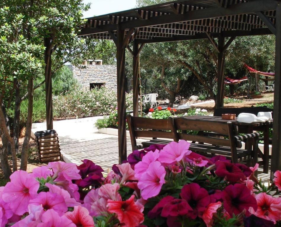 Katerina Charming Place Αμουδάρα Λασιθίου Εξωτερικό φωτογραφία