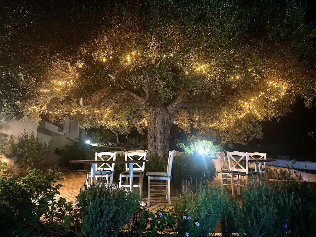 Katerina Charming Place Αμουδάρα Λασιθίου Εξωτερικό φωτογραφία